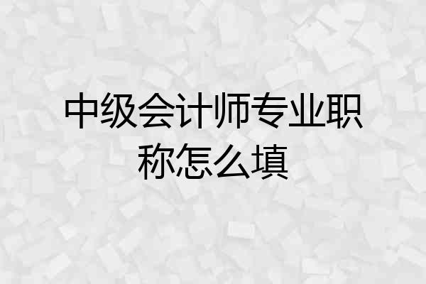 中级会计师专业职称怎么填