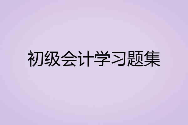 初级会计学习题集
