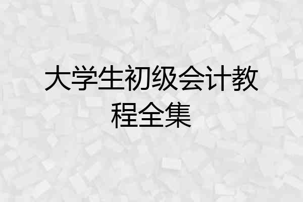大学生初级会计教程全集
