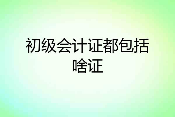 初级会计证都包括啥证