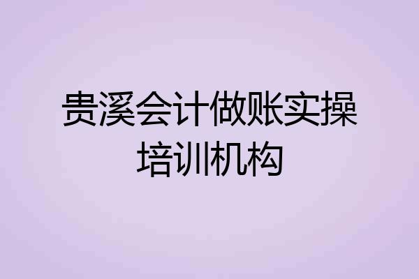贵溪会计做账实操培训机构