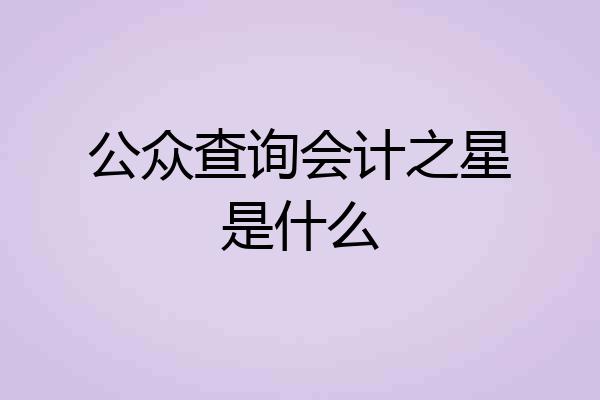 公众查询会计之星是什么