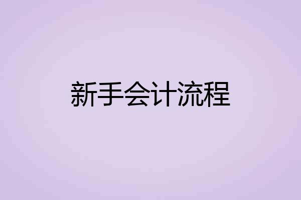 新手会计流程