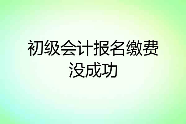 初级会计报名缴费没成功