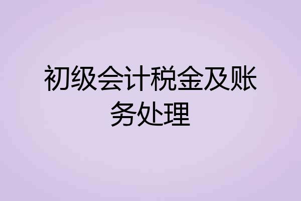 初级会计税金及账务处理