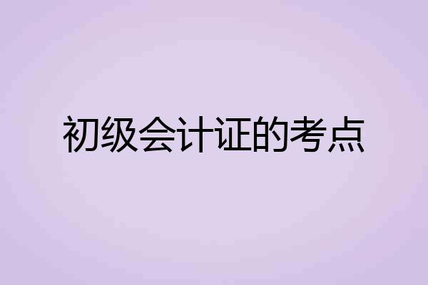 初级会计证的考点