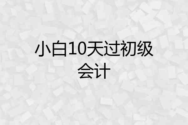 小白10天过初级会计
