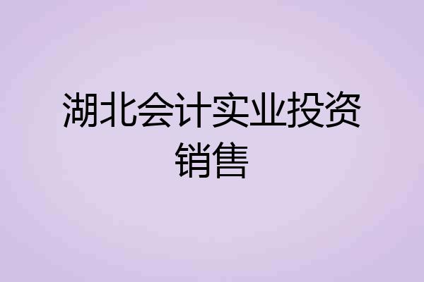 湖北会计实业投资销售