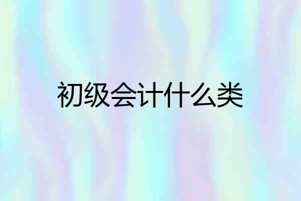 初级会计什么类