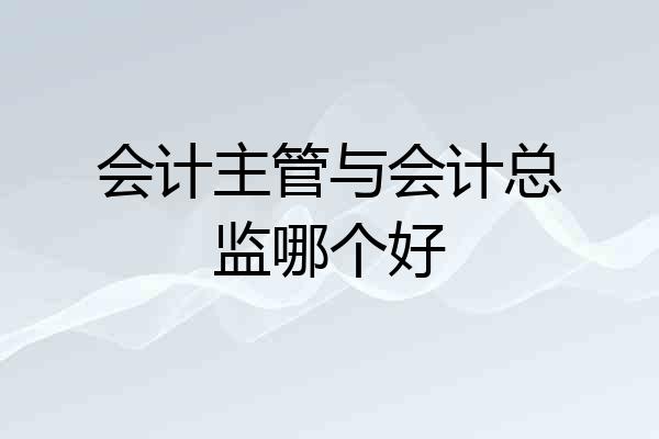 会计主管与会计总监哪个好