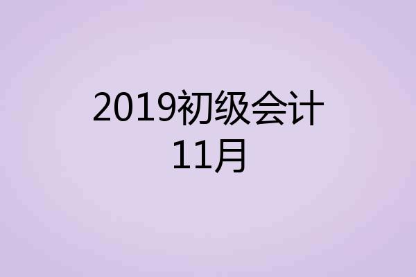 2019初级会计11月