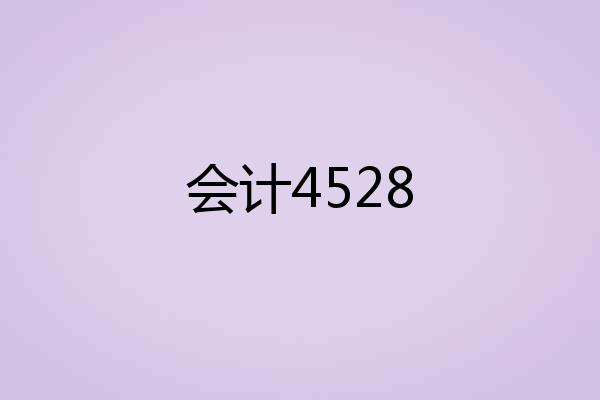 会计4528