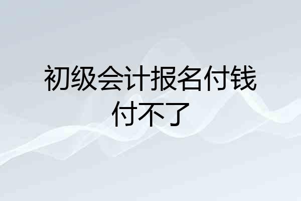 初级会计报名付钱付不了