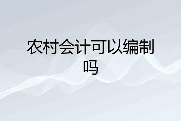 农村会计可以编制吗
