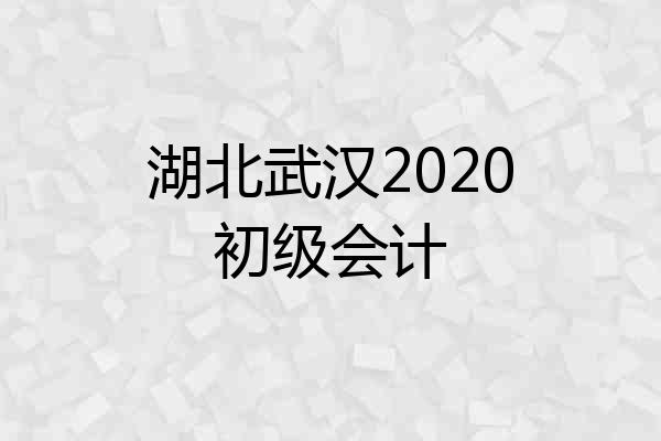 湖北武汉2020初级会计