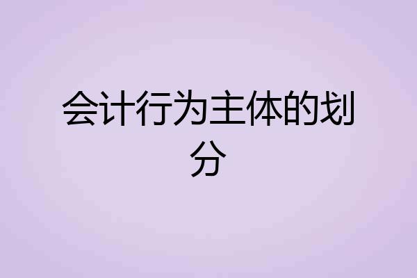 会计行为主体的划分
