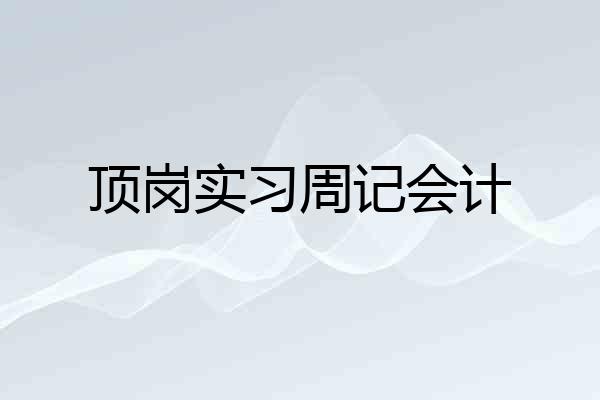 顶岗实习周记会计
