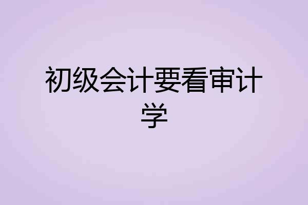 初级会计要看审计学