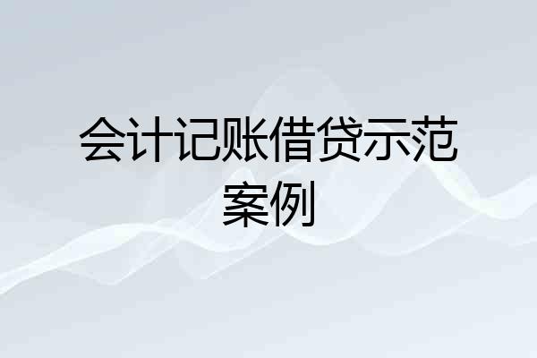 会计记账借贷示范案例
