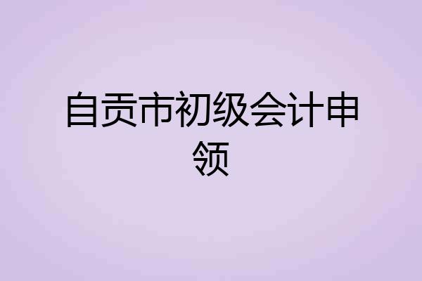 自贡市初级会计申领