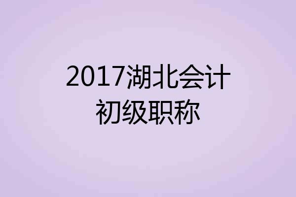 2017湖北会计初级职称