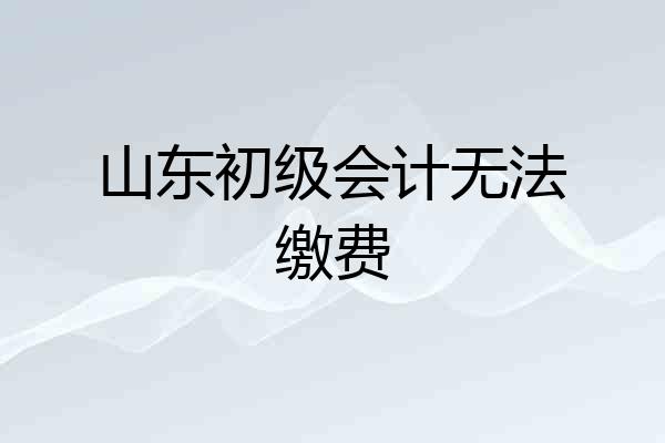 山东初级会计无法缴费