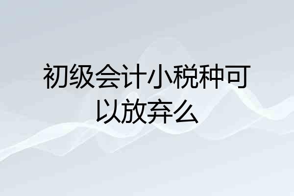 初级会计小税种可以放弃么