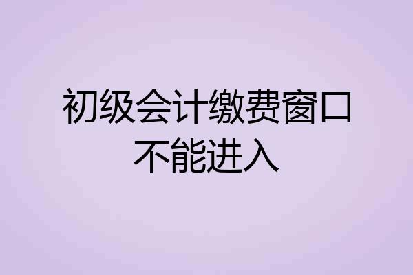 初级会计缴费窗口不能进入