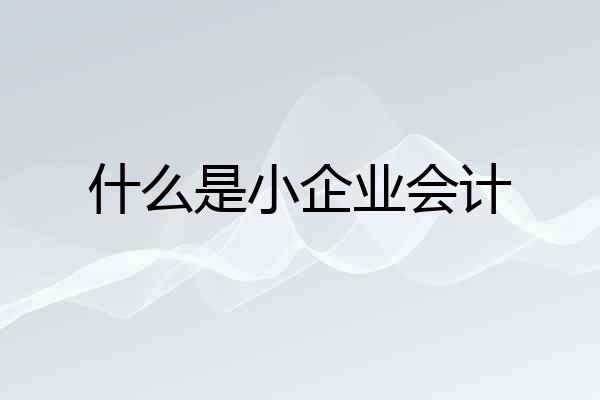 什么是小企业会计