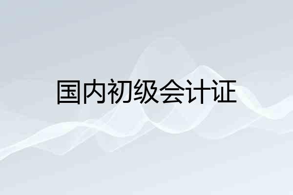 国内初级会计证