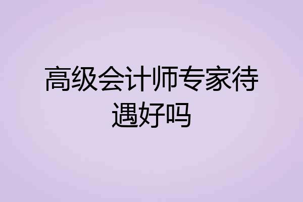 高级会计师专家待遇好吗