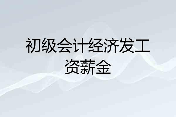 初级会计经济发工资薪金