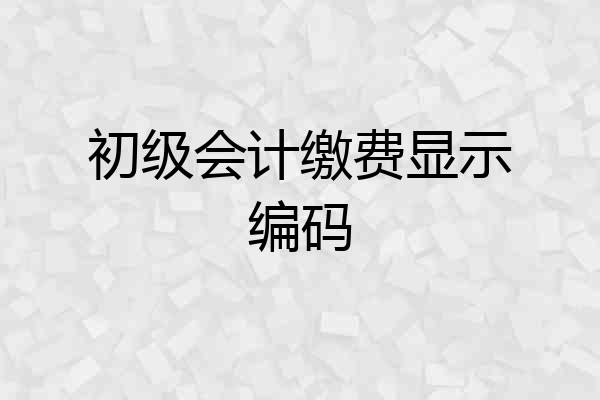 初级会计缴费显示编码