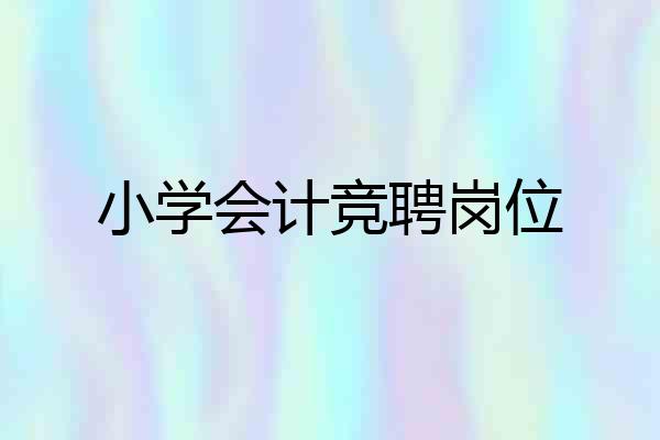 小学会计竞聘岗位