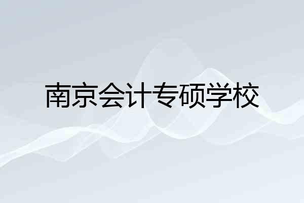 南京会计专硕学校