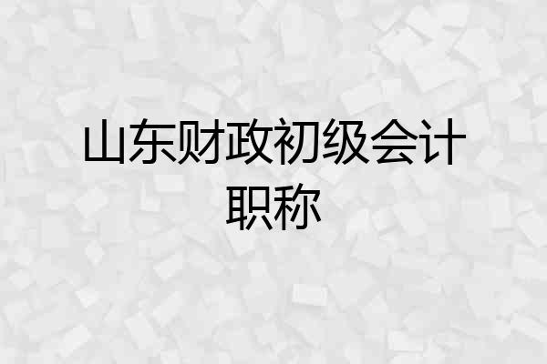 山东财政初级会计职称