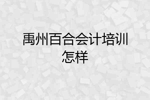 禹州百合会计培训怎样