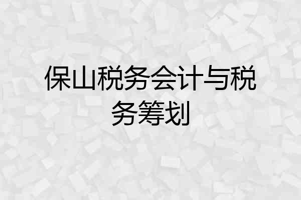 保山税务会计与税务筹划