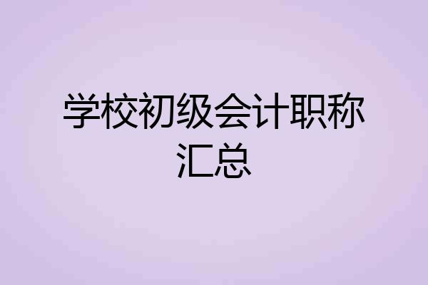 学校初级会计职称汇总