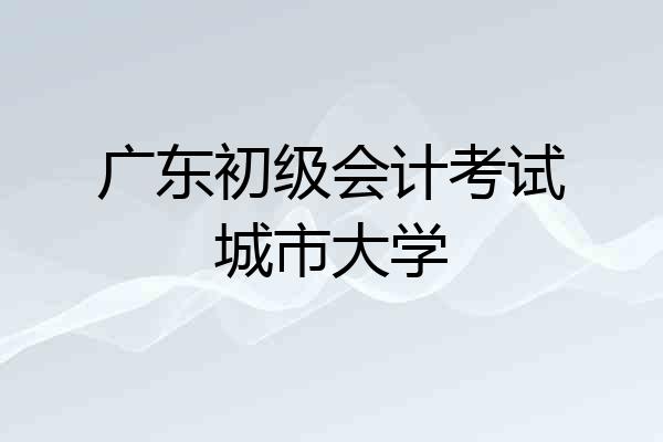 广东初级会计考试城市大学