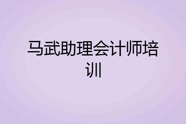 马武助理会计师培训