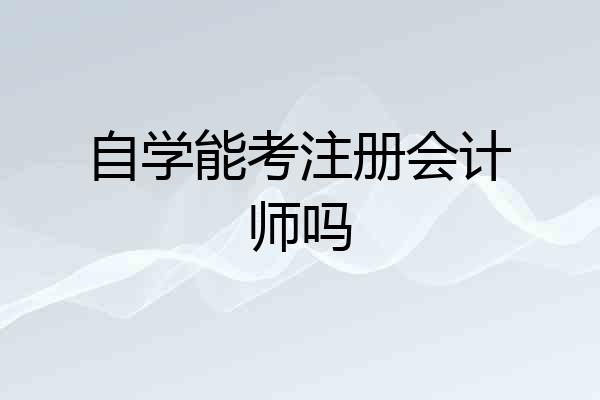 自学能考注册会计师吗