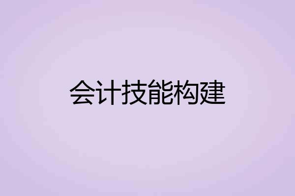 会计技能构建