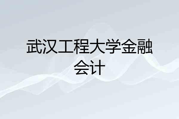 武汉工程大学金融会计