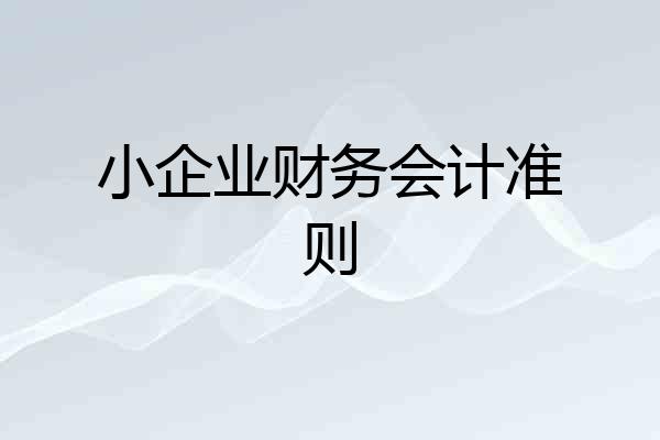 小企业财务会计准则