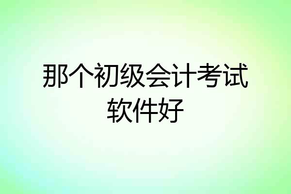 那个初级会计考试软件好