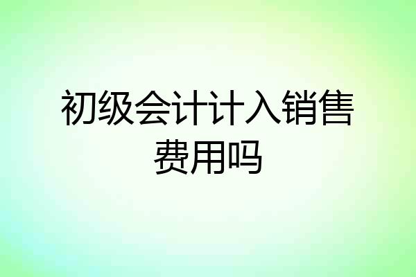 初级会计计入销售费用吗