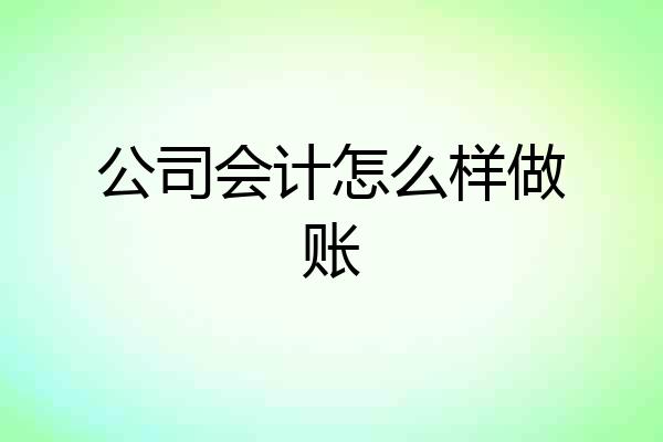 公司会计怎么样做账