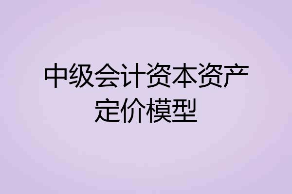 中级会计资本资产定价模型