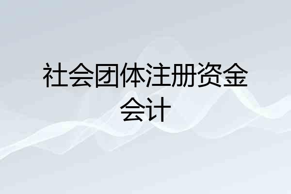 社会团体注册资金会计